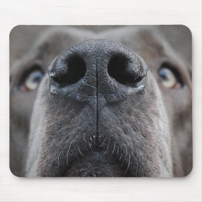 Mousepad Nariz de um Great Dane (Frente)