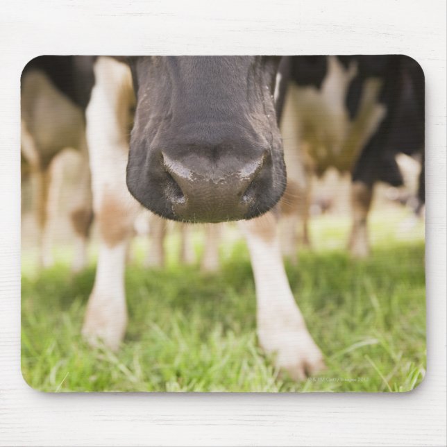 Mousepad nariz de vaca (Frente)