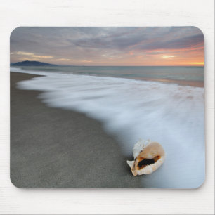 Mousepad Nascer do sol na praia e em Shell