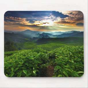 Mousepad Nascer do sol sobre a fazenda do chá