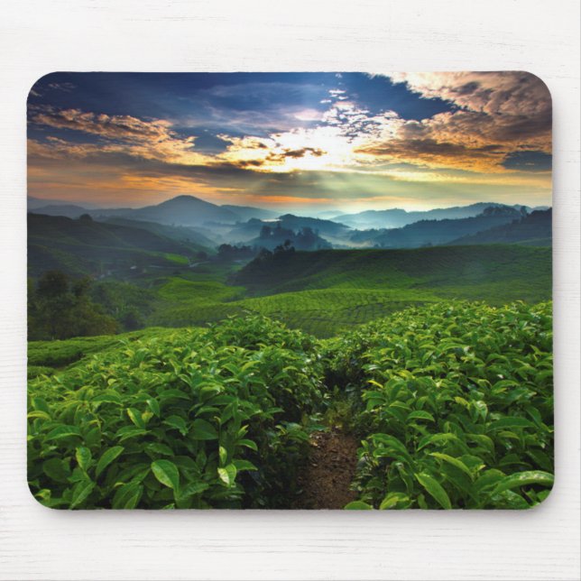 Mousepad Nascer do sol sobre a fazenda do chá (Frente)