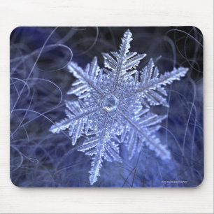 Mousepad Nascido (2015)
