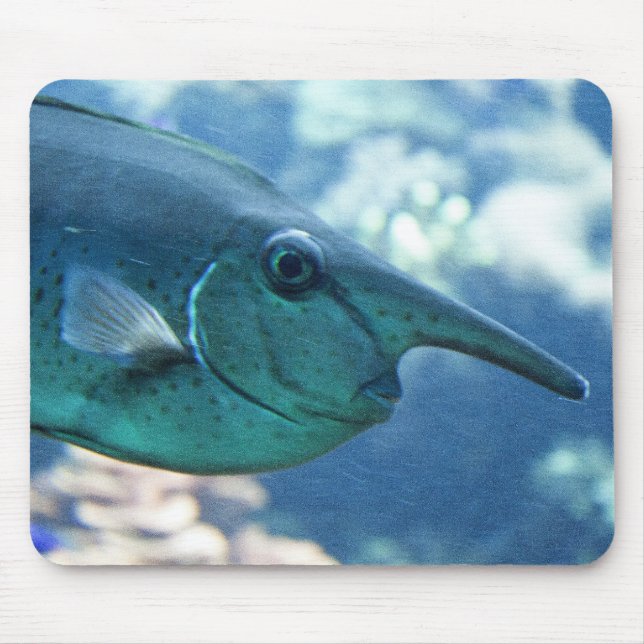 Mousepad Naso brevirostris (Frente)