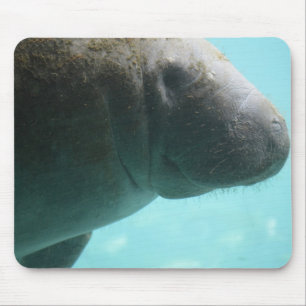 Mousepad Natação adorável do peixe-boi