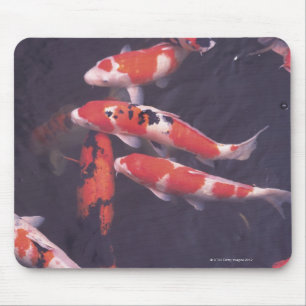 Mousepad Natação de Koi na piscina