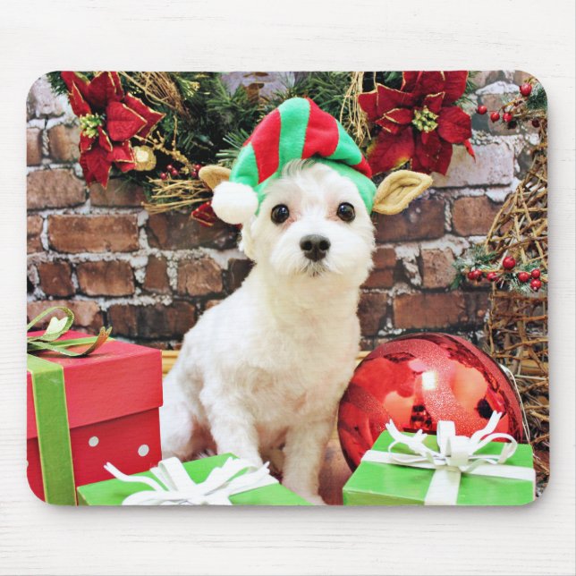 Mousepad Natal - maltês - Quinn (Frente)