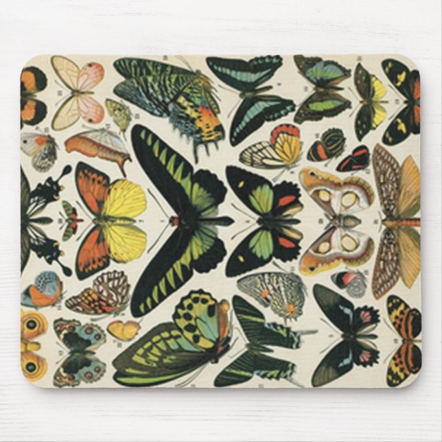Mousepad Natural History Butterfly (Frente)