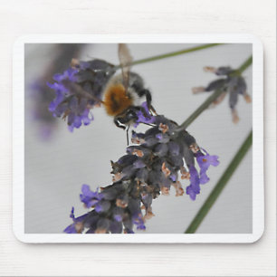 Mousepad Natures WonMaravilha Workers