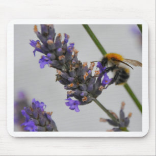 Mousepad Natures WonMaravilha Workers