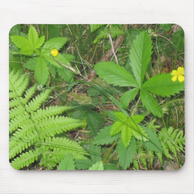 Mousepad Natureza (Frente)