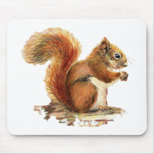 Mousepad Natureza animal bonito de esquilo vermelho da
