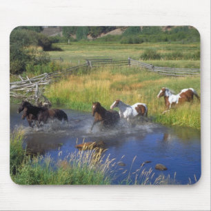 Mousepad Natureza bonita do destino do rancho do cavalo