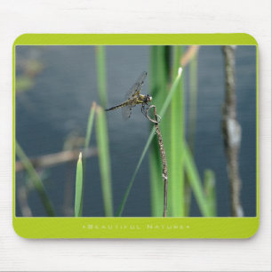 Mousepad Natureza bonita: Libélula