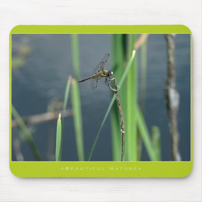 Mousepad Natureza bonita: Libélula (Frente)