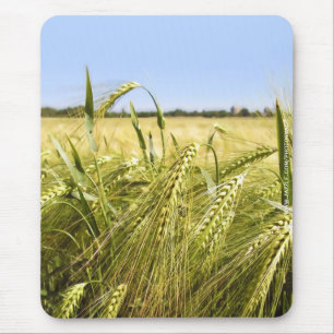 Mousepad Natureza Botânica do Grão de Centeio