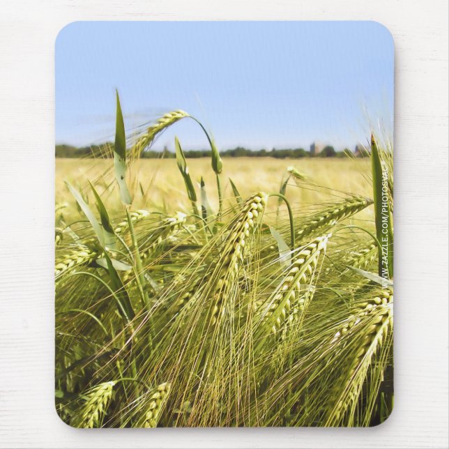 Mousepad Natureza Botânica do Grão de Centeio (Frente)