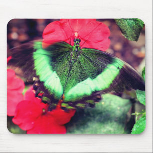 Mousepad Natureza da Borboleta Verde