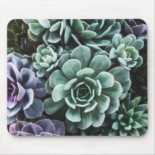 Mousepad Natureza das Plantas Verdes Suculentas