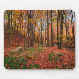 Mousepad natureza, floresta, árvores