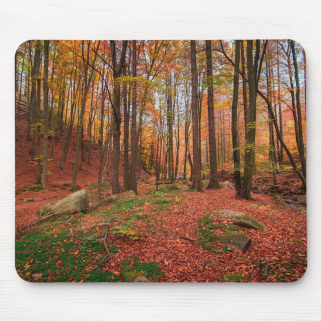 Mousepad natureza, floresta, árvores (Frente)
