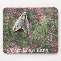 Natureza Inspirou a Mama