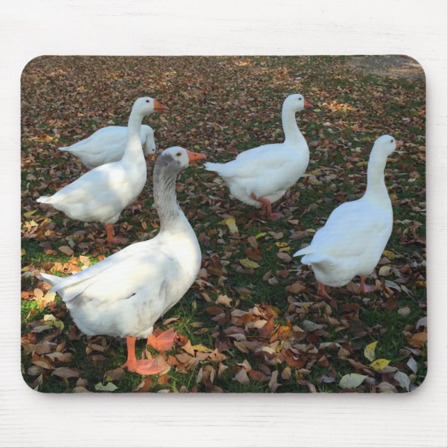 Mousepad Natureza Pura (Frente)