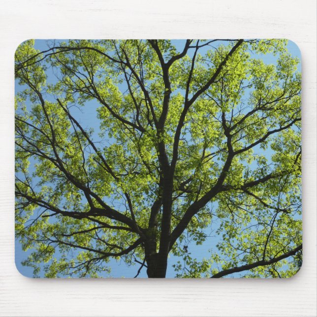 Mousepad Natureza vibrante da árvore de carvalho-primavera (Frente)