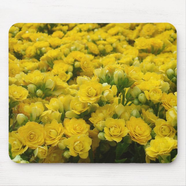 Mousepad Natureza Vivid Amarelo Flor Foto Floral (Frente)