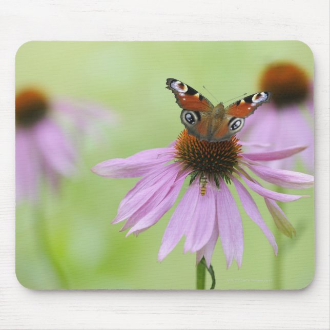 Mousepad Néctar do bebendo da borboleta de pavão (Inachis i (Frente)