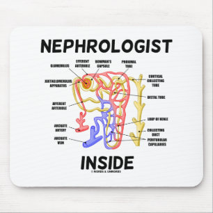 Mousepad Nefrologista Dentro Kidney Nephron