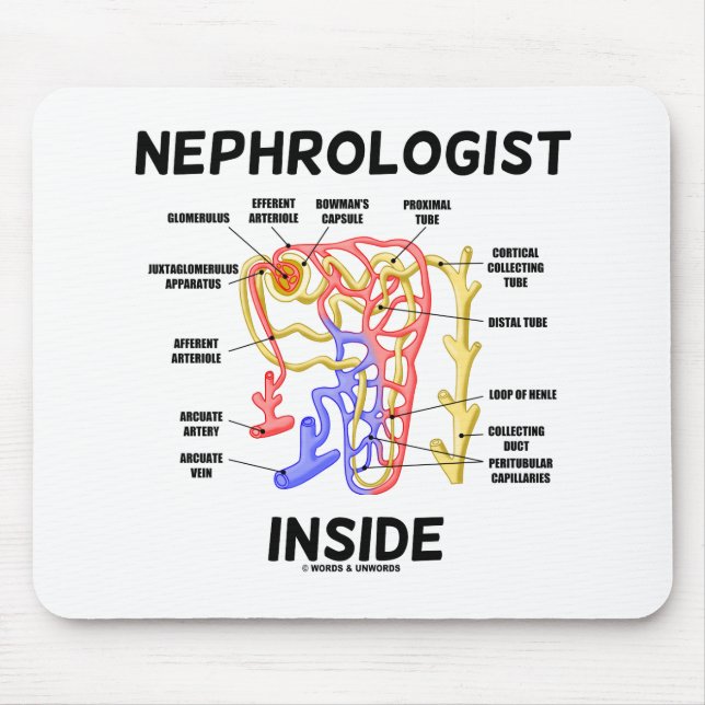 Mousepad Nefrologista Dentro Kidney Nephron (Frente)