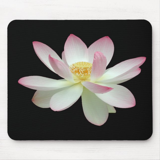 Mousepad Nelumbo nucifera (Frente)