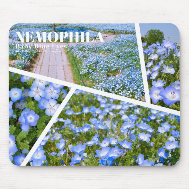 Mousepad NEMOPHILA（Baby Blue Eyes） (Frente)