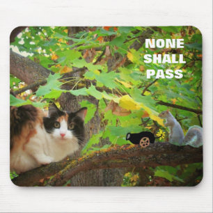 Mousepad Nenhum deve passar Cat vs. Esquilo