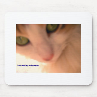 Mousepad nenhum gatinho do roupa interior