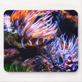 Mousepad Neon Colors Clowe Fishes
