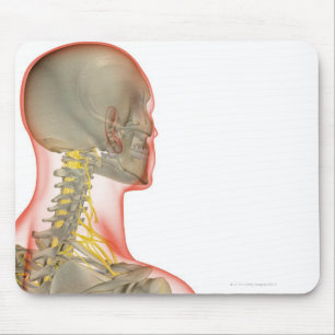 Mousepad Nervos do Pescoço 2