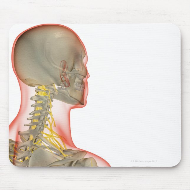 Mousepad Nervos do Pescoço 2 (Frente)