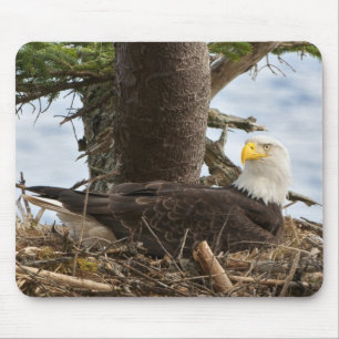 Mousepad Nesting Bald Eagle