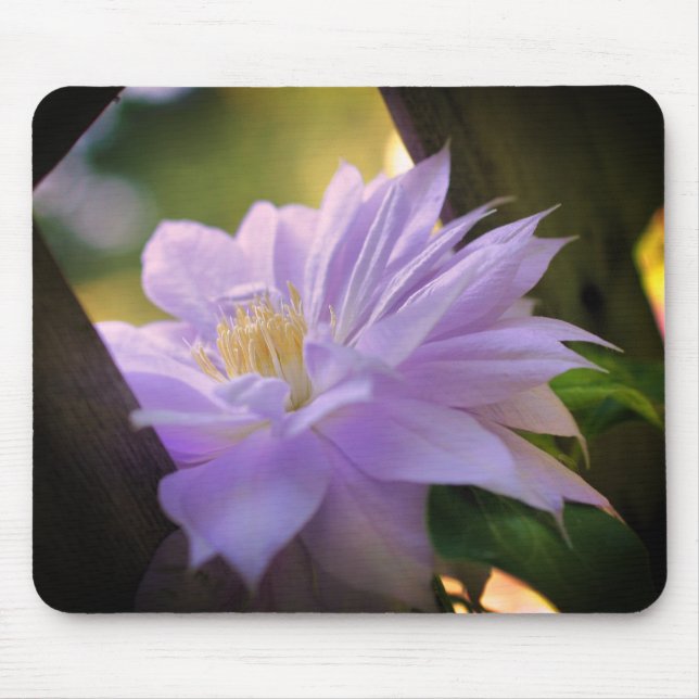 Mousepad Nestled Clematis Flower  (Frente)