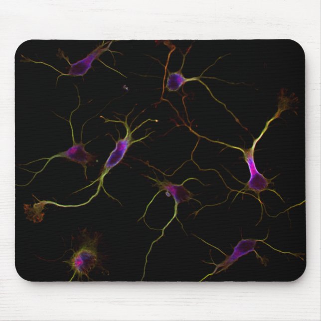 Mousepad NeuroRootsPad (Frente)