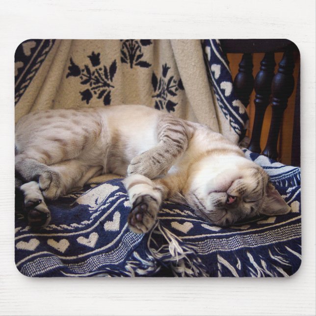 Mousepad Neve Bengal no balancim (Frente)