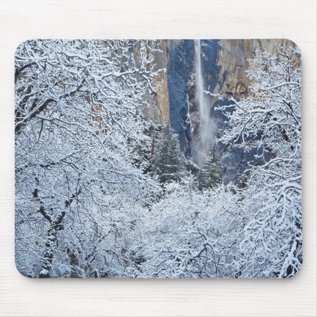 Mousepad Neve fresca nas árvores abaixo de Bridalveil (Frente)
