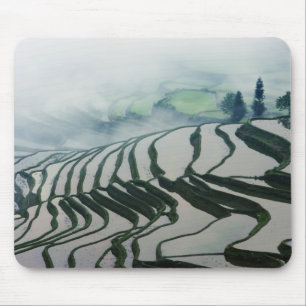 Mousepad Névoa da manhã acima dos campos do arroz
