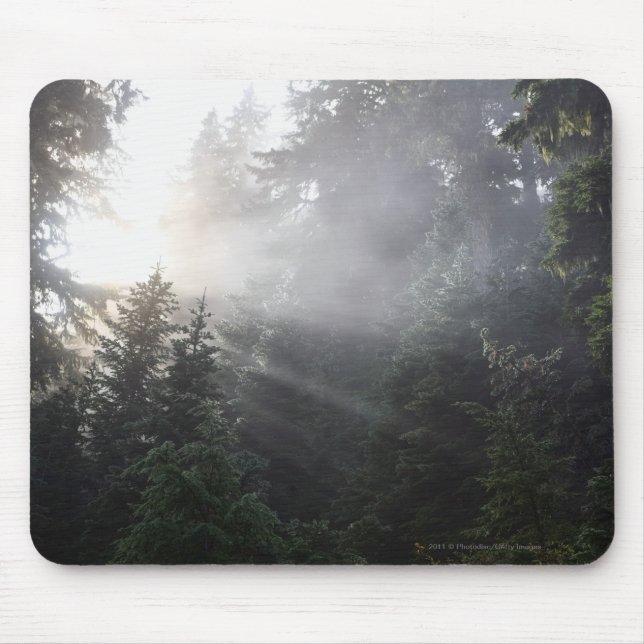 Mousepad Névoa & feixes de Sun em uma floresta de (Frente)