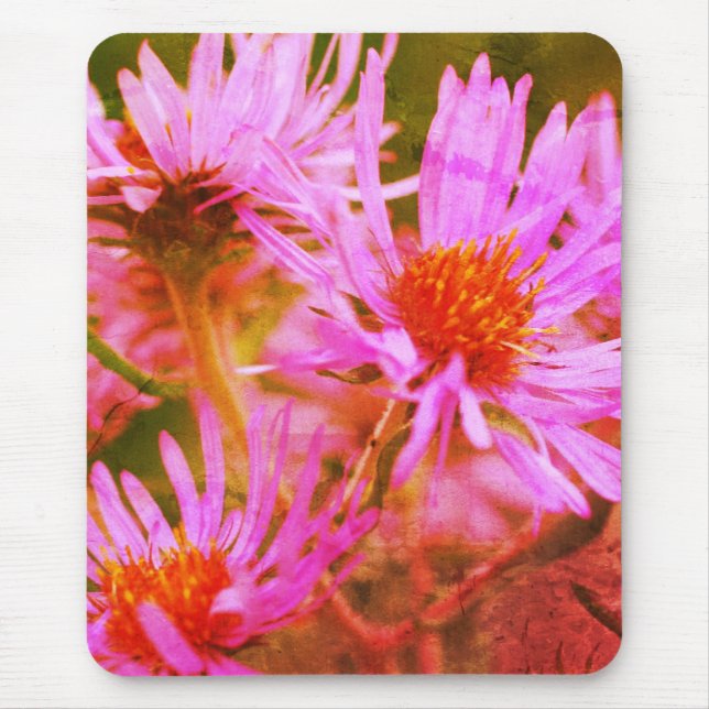Mousepad New England Rosa Asters Flower Art (Frente)