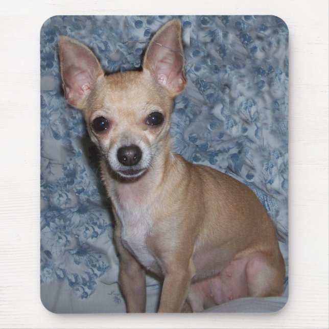 Mousepad nibblesportrait (Frente)