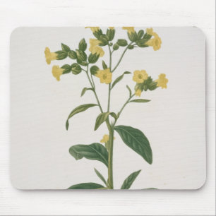 Mousepad Nicotiana de "Phytographie Medicale" por Joseph R