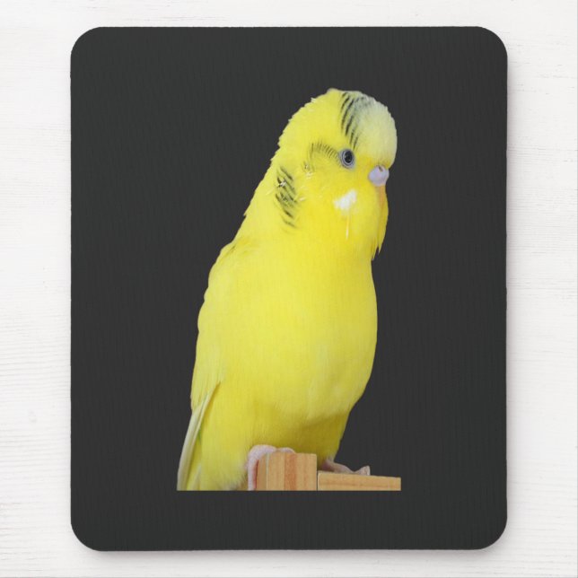 Mousepad niedlicher gelber Wellensittich (Frente)