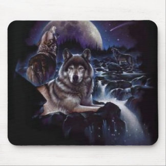 Mousepad Night-Wolves-wolves-2812983-296-300